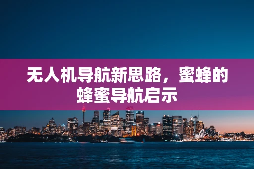 无人机导航新思路，蜜蜂的蜂蜜导航启示