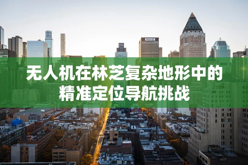 无人机在林芝复杂地形中的精准定位导航挑战