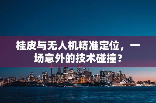 桂皮与无人机精准定位，一场意外的技术碰撞？