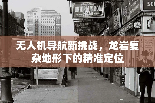无人机导航新挑战，龙岩复杂地形下的精准定位