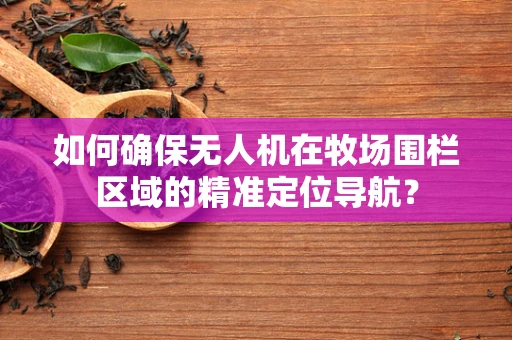 如何确保无人机在牧场围栏区域的精准定位导航？