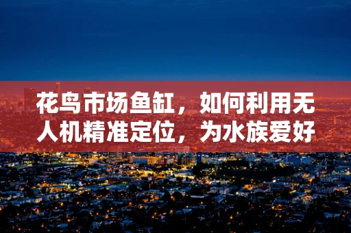花鸟市场鱼缸，如何利用无人机精准定位，为水族爱好者带来新视角？