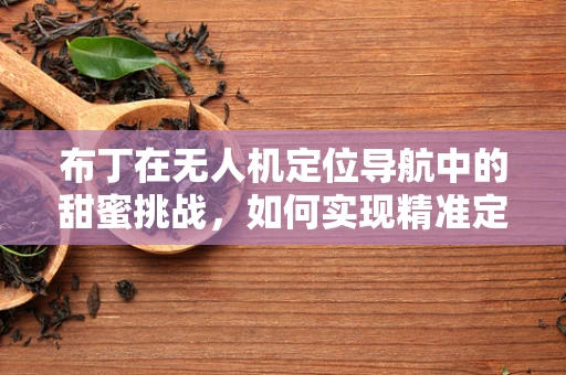 布丁在无人机定位导航中的甜蜜挑战，如何实现精准定位？