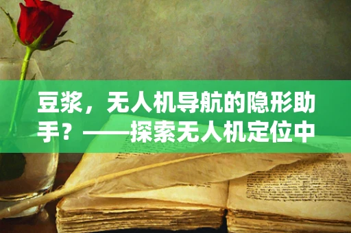 豆浆，无人机导航的隐形助手？——探索无人机定位中的非传统辅助策略