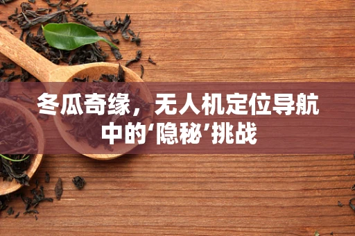 冬瓜奇缘，无人机定位导航中的‘隐秘’挑战
