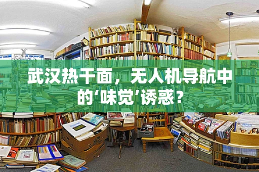 武汉热干面，无人机导航中的‘味觉’诱惑？