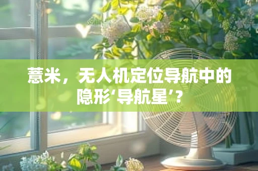 薏米，无人机定位导航中的隐形‘导航星’？