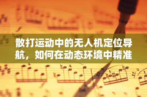 散打运动中的无人机定位导航，如何在动态环境中精准追踪？