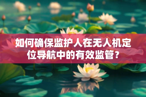如何确保监护人在无人机定位导航中的有效监管？