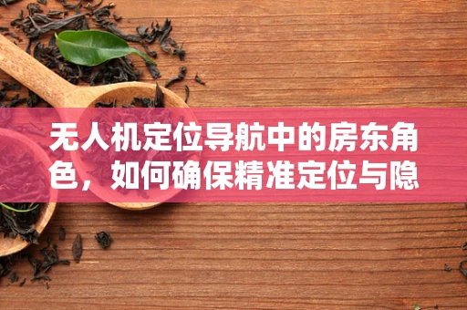 无人机定位导航中的房东角色，如何确保精准定位与隐私保护并重？