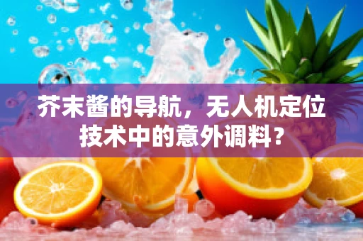 芥末酱的导航，无人机定位技术中的意外调料？