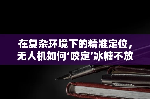 在复杂环境下的精准定位，无人机如何‘咬定’冰糖不放松？