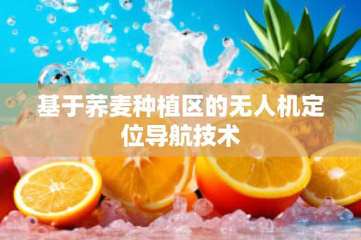 基于荞麦种植区的无人机定位导航技术