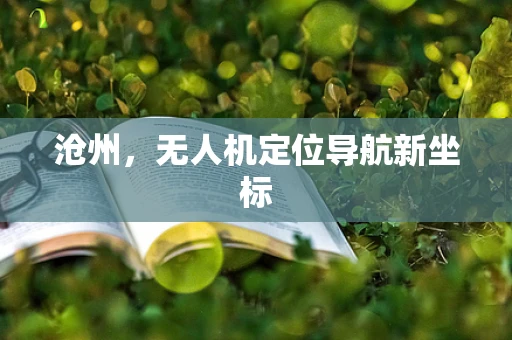 沧州，无人机定位导航新坐标