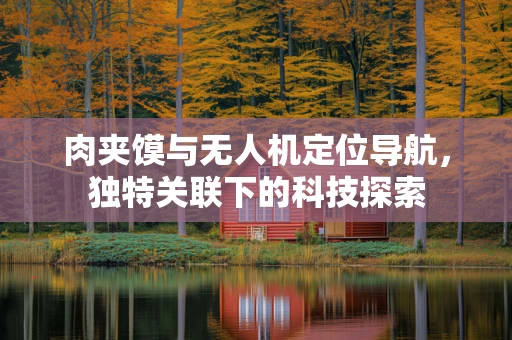 肉夹馍与无人机定位导航，独特关联下的科技探索