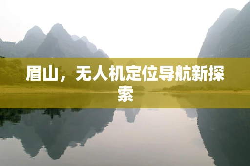 眉山，无人机定位导航新探索