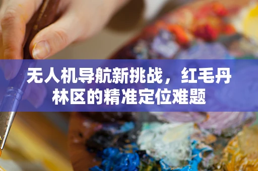 无人机导航新挑战，红毛丹林区的精准定位难题