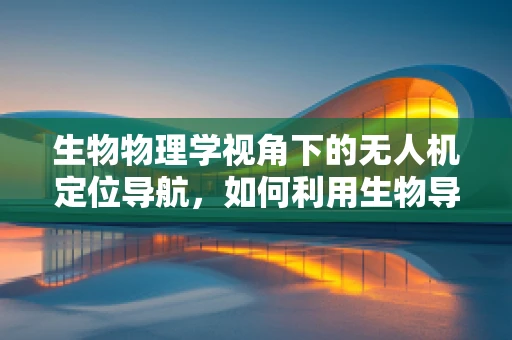 生物物理学视角下的无人机定位导航，如何利用生物导航机制提升精度？