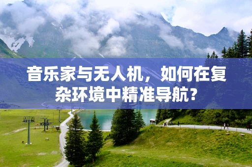 音乐家与无人机，如何在复杂环境中精准导航？