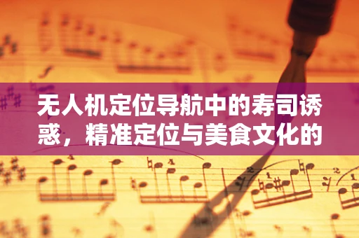 无人机定位导航中的寿司诱惑，精准定位与美食文化的融合挑战