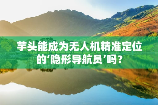 芋头能成为无人机精准定位的‘隐形导航员’吗？