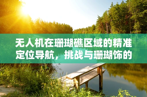 无人机在珊瑚礁区域的精准定位导航，挑战与珊瑚饰的潜在应用