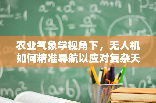 农业气象学视角下，无人机如何精准导航以应对复杂天气？