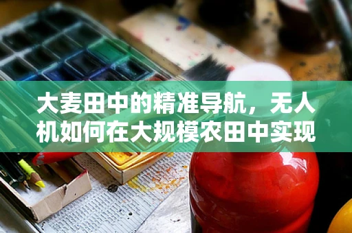 大麦田中的精准导航，无人机如何在大规模农田中实现高效定位？