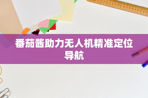 番茄酱助力无人机精准定位导航