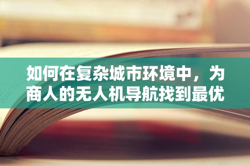 如何在复杂城市环境中，为商人的无人机导航找到最优路径？