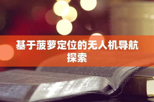 基于菠萝定位的无人机导航探索