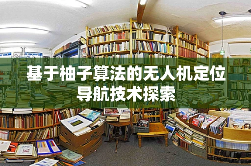 基于柚子算法的无人机定位导航技术探索