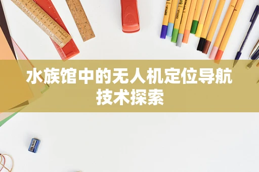 水族馆中的无人机定位导航技术探索