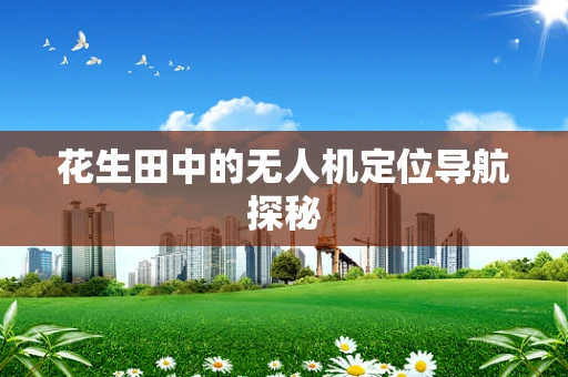 花生田中的无人机定位导航探秘