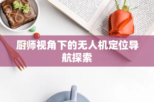 厨师视角下的无人机定位导航探索