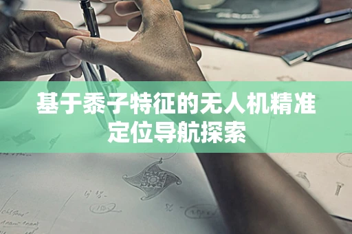 基于黍子特征的无人机精准定位导航探索
