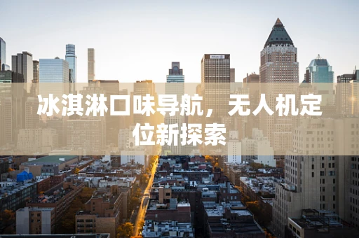 冰淇淋口味导航，无人机定位新探索