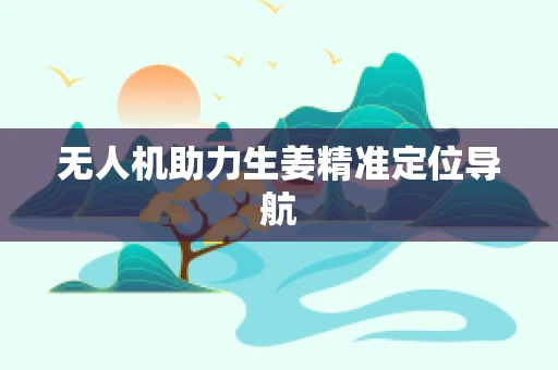 无人机助力生姜精准定位导航
