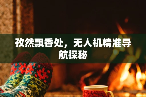 孜然飘香处，无人机精准导航探秘
