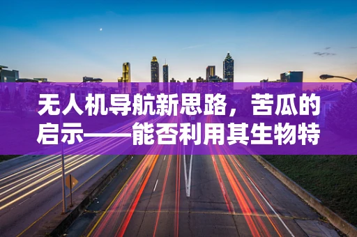 无人机导航新思路，苦瓜的启示——能否利用其生物特性优化定位精度？
