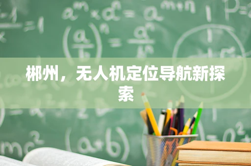 郴州，无人机定位导航新探索