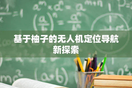 基于柚子的无人机定位导航新探索