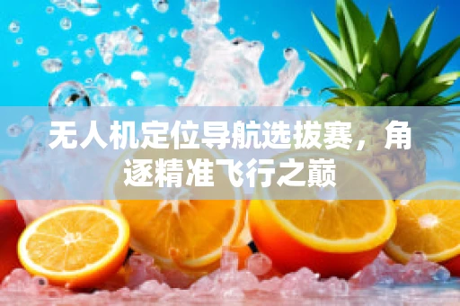 无人机定位导航选拔赛，角逐精准飞行之巅