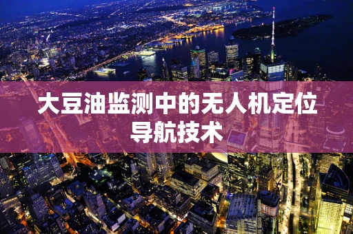 大豆油监测中的无人机定位导航技术