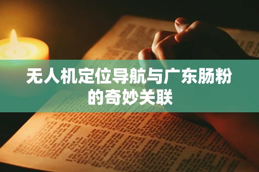 无人机定位导航与广东肠粉的奇妙关联