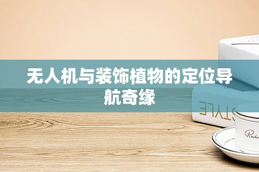 无人机与装饰植物的定位导航奇缘