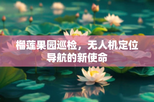 榴莲果园巡检，无人机定位导航的新使命