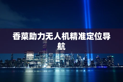 香菜助力无人机精准定位导航