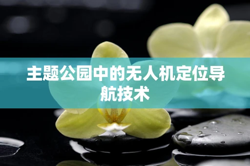 主题公园中的无人机定位导航技术