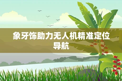 象牙饰助力无人机精准定位导航